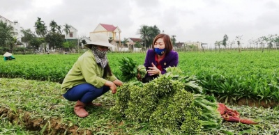 Bắc Giang: Phát huy thế mạnh của mô hình hợp tác xã trong giảm nghèo bền vững