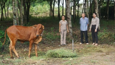 Tây Ninh: Quan tâm thực hiện chính sách bảo trợ xã hội, giảm nghèo