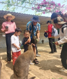 Chung tay hỗ trợ để trẻ khuyết tật tiếp cận đầy đủ các dịch vụ bảo vệ, chăm sóc và giáo dục 