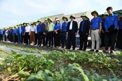 Liên hoan Thanh niên Nông thôn Toàn quốc 2024: Truyền cảm hứng từ những mô hình nông nghiệp công nghệ cao