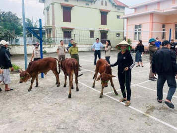 Quảng Bình: Đẩy mạnh hỗ trợ phát triển sản xuất, giúp giảm nghèo bền vững