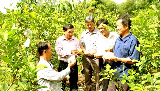 TP Cần Thơ dành hơn 700 tỷ đồng để giảm nghèo bền vững